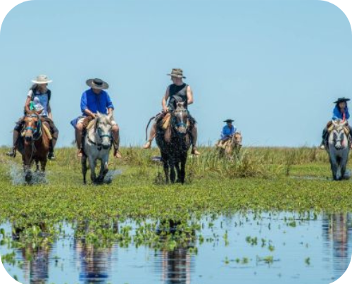 Cabalgata en Carambola