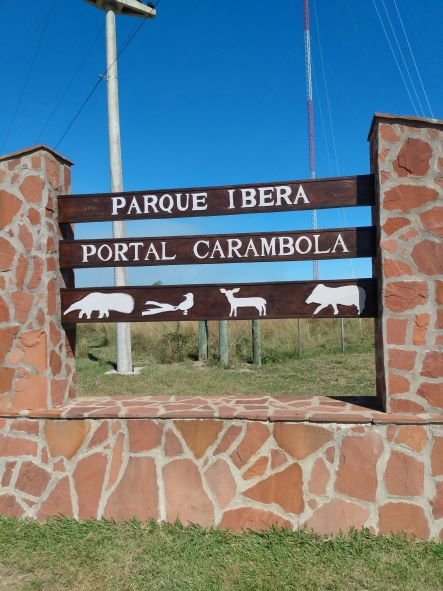 Fotografía de naturaleza
